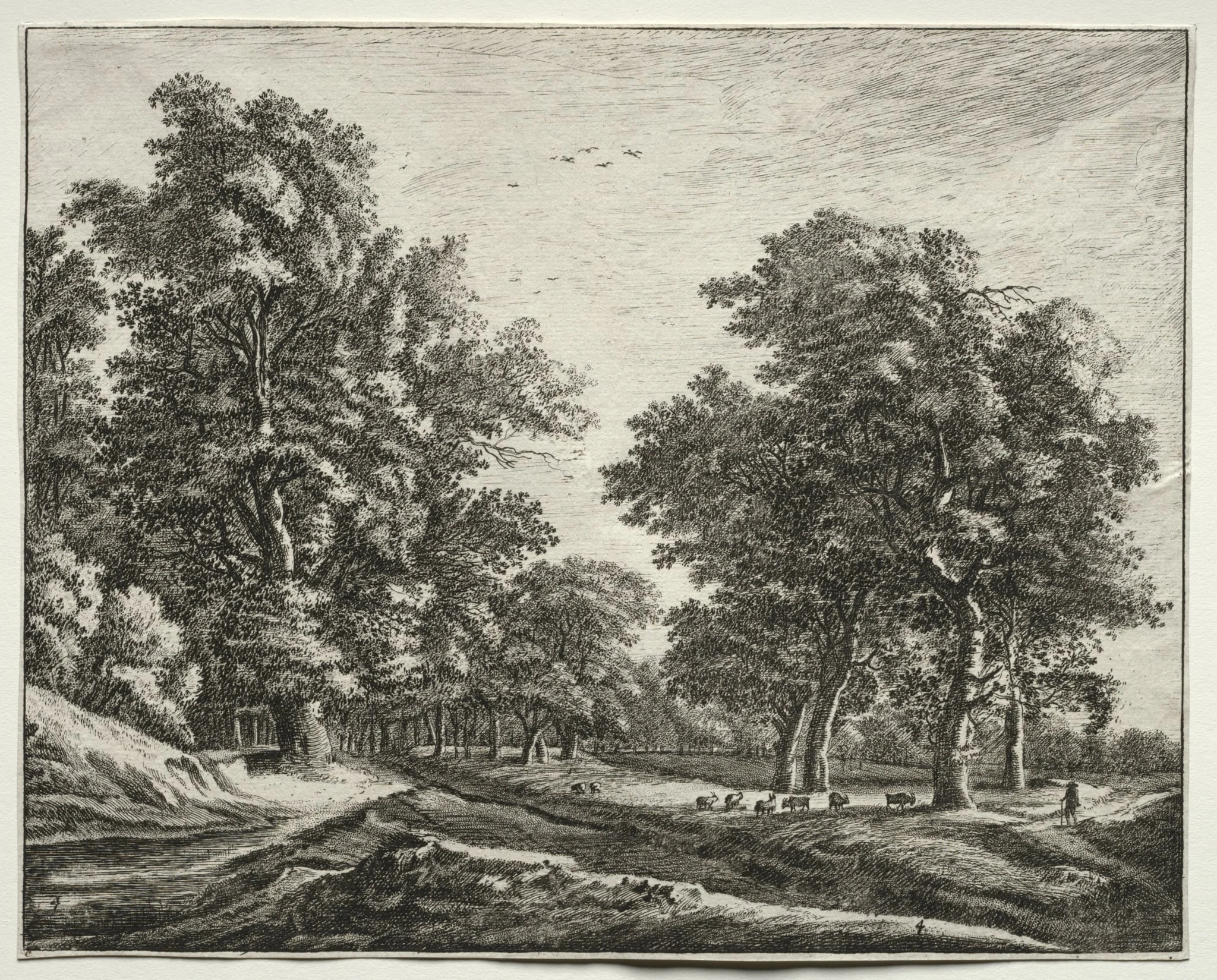 Six views in the Wood of the Hague: Plate 4, Goats Under the Trees, detail