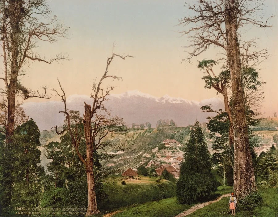 Darjeeling. Kinchinjunga and the Snows from Beechwood Park, detail