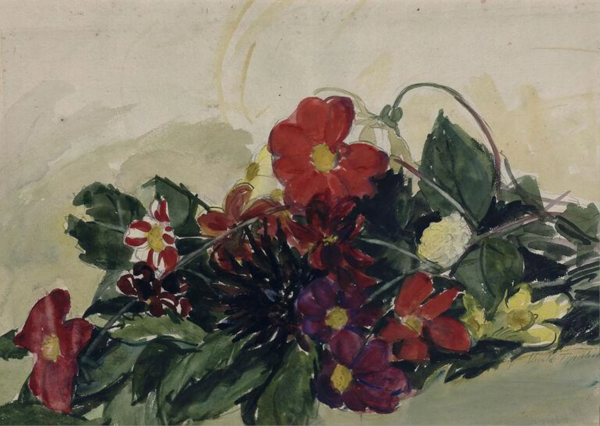 Single Dahlias, detail