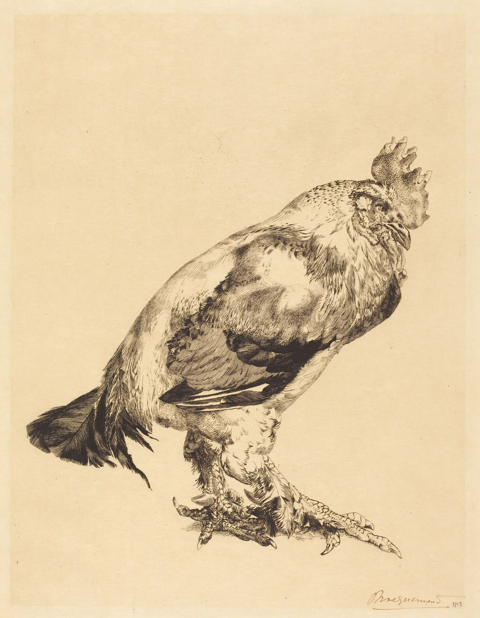 The Old Cock, detail