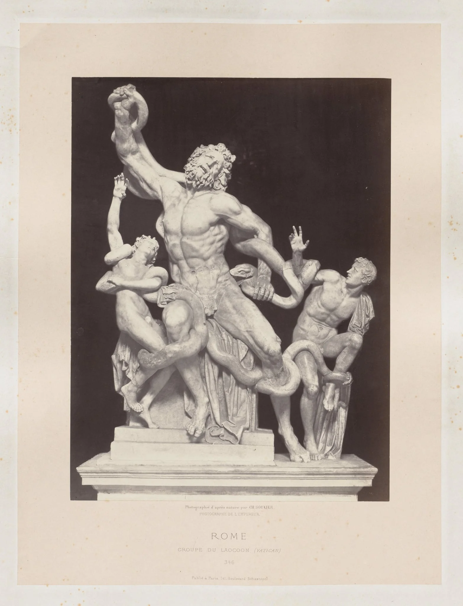 Rome: Groupe de Laocoon (Vatican), detail