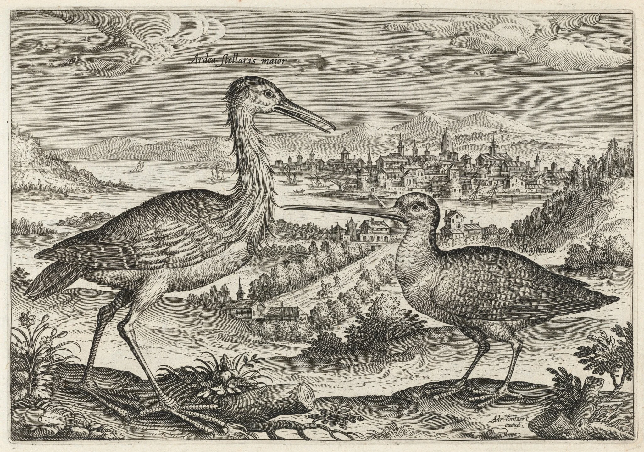 Heron and Snipe, detail