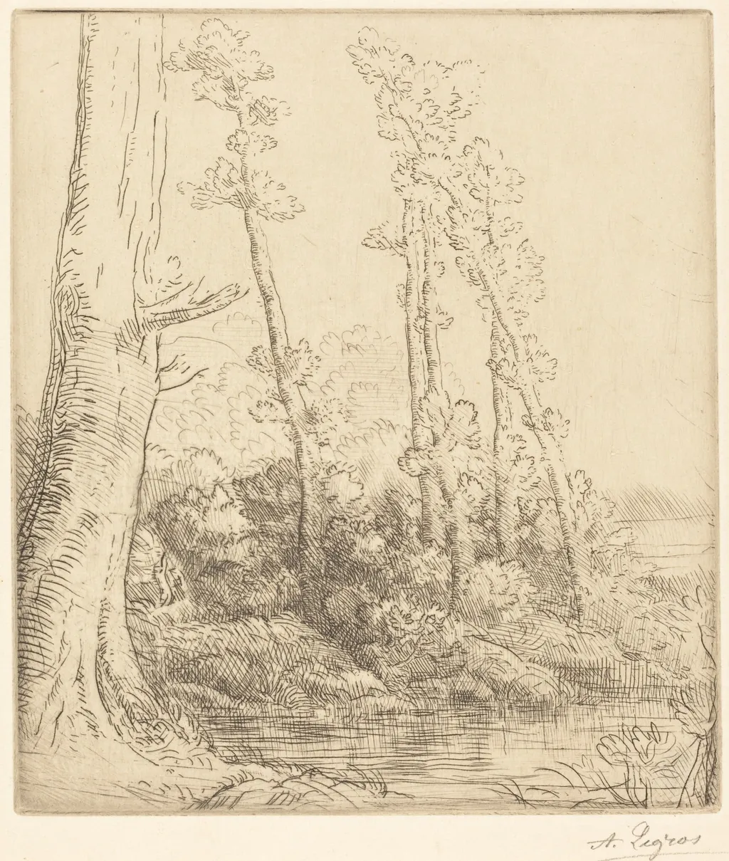 Little Pond (La petite mare), by Alphonse Legros, ink, 1874