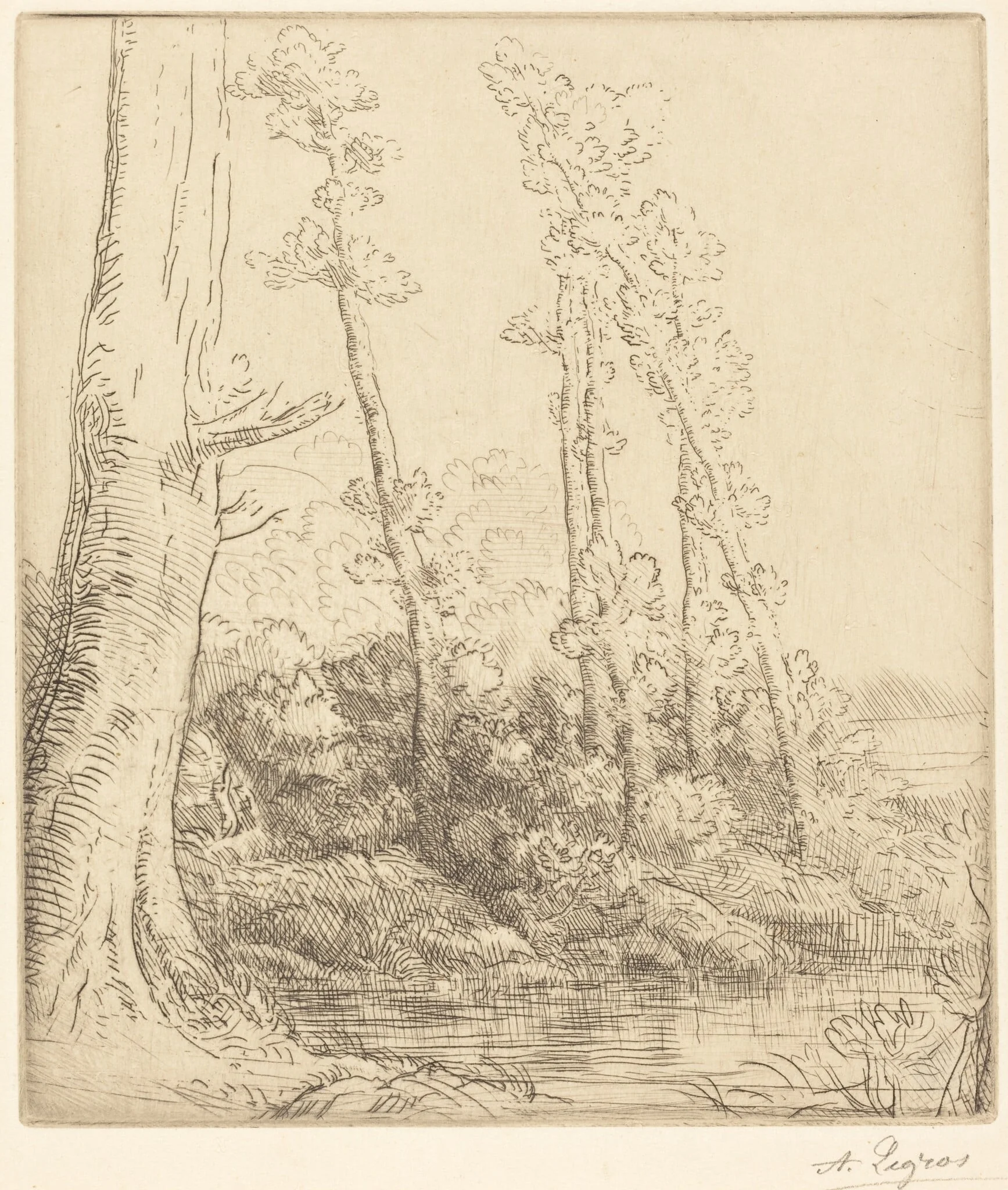 Little Pond (La petite mare), detail