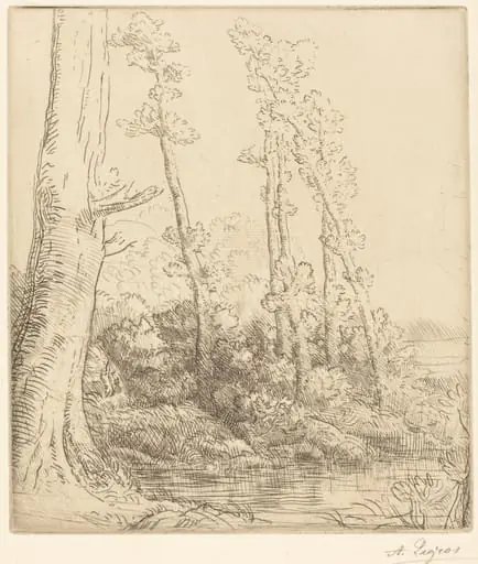 Little Pond (La petite mare), by Alphonse Legros, ink, 1874