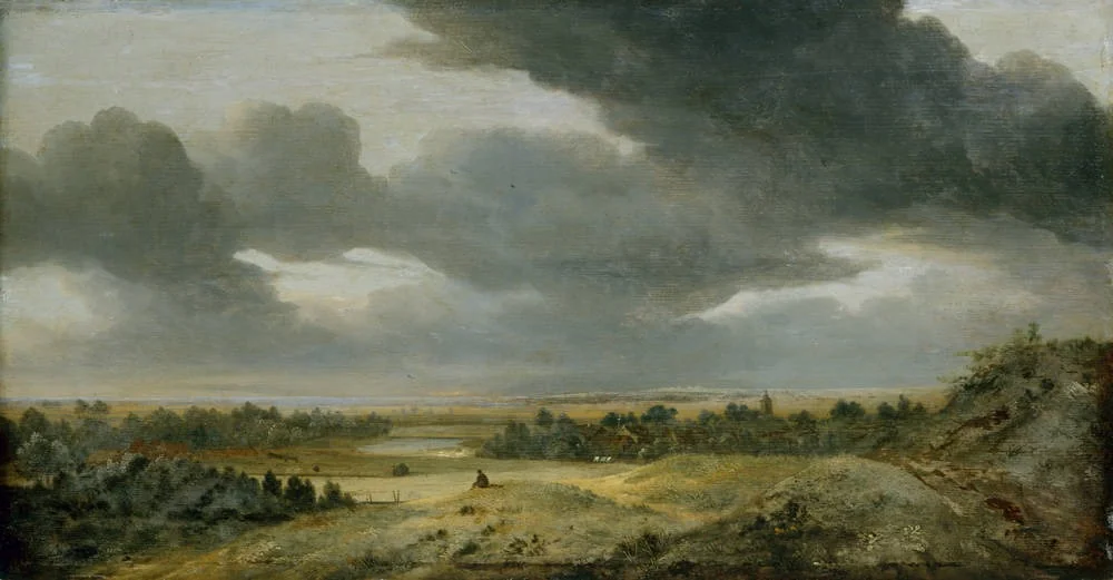 View from the dunes across the Dutch plain, detail