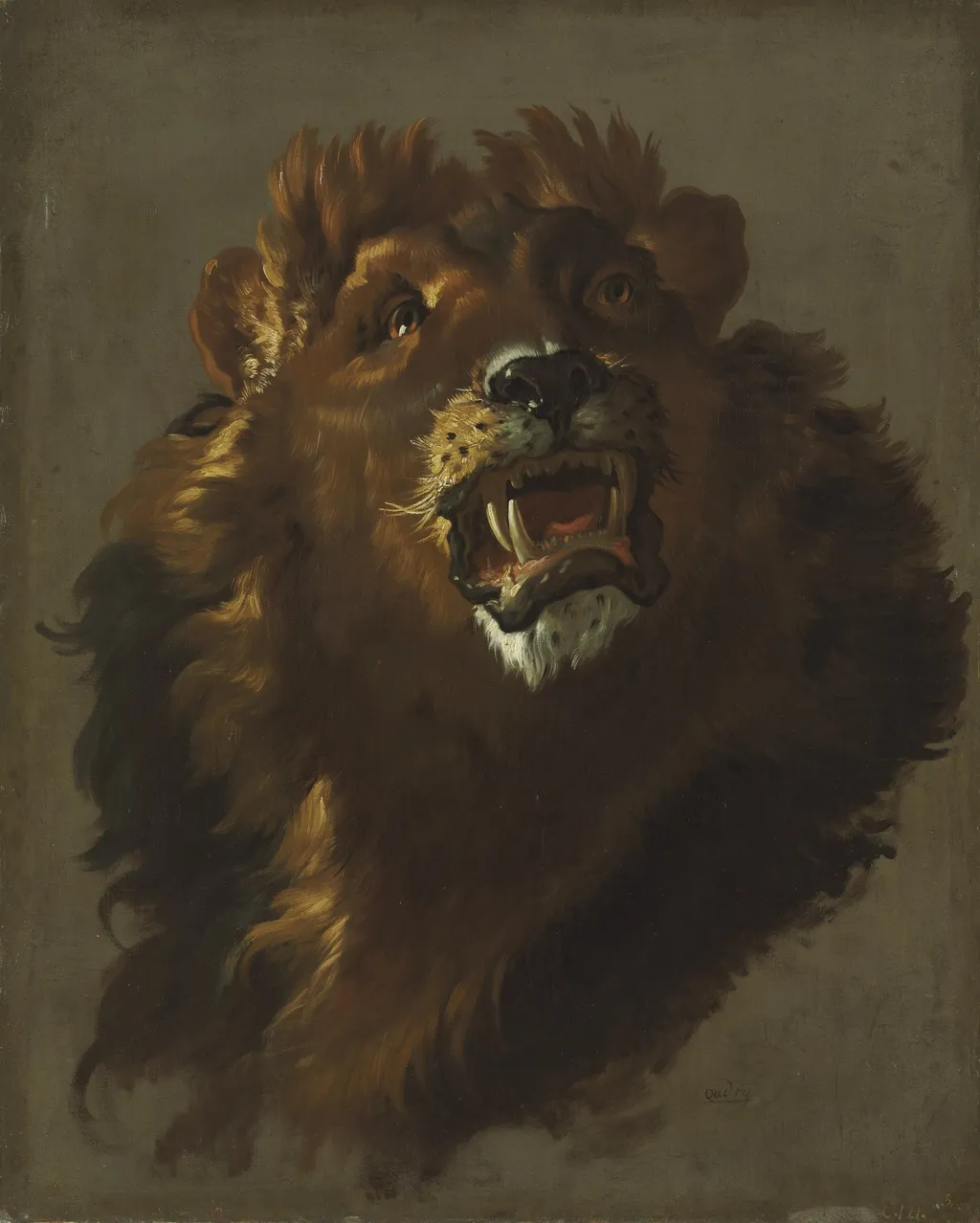 Lion, by Giuseppe Baldrighi, oil, 1754