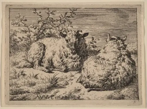 Two Recumbent Sheep, by Adriaen van de Velde, ink, 1670