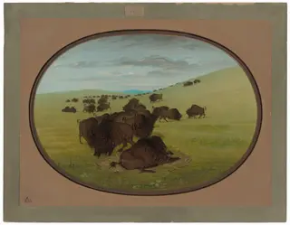 A Buffalo Wallow, by George Catlin, oil, 1865