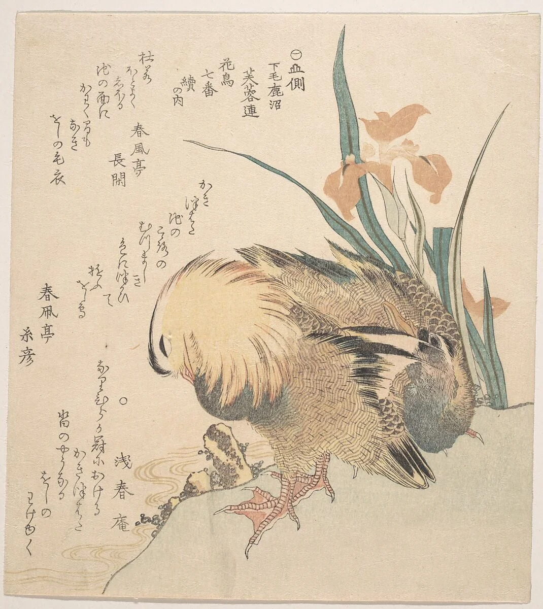 Untitled, detail