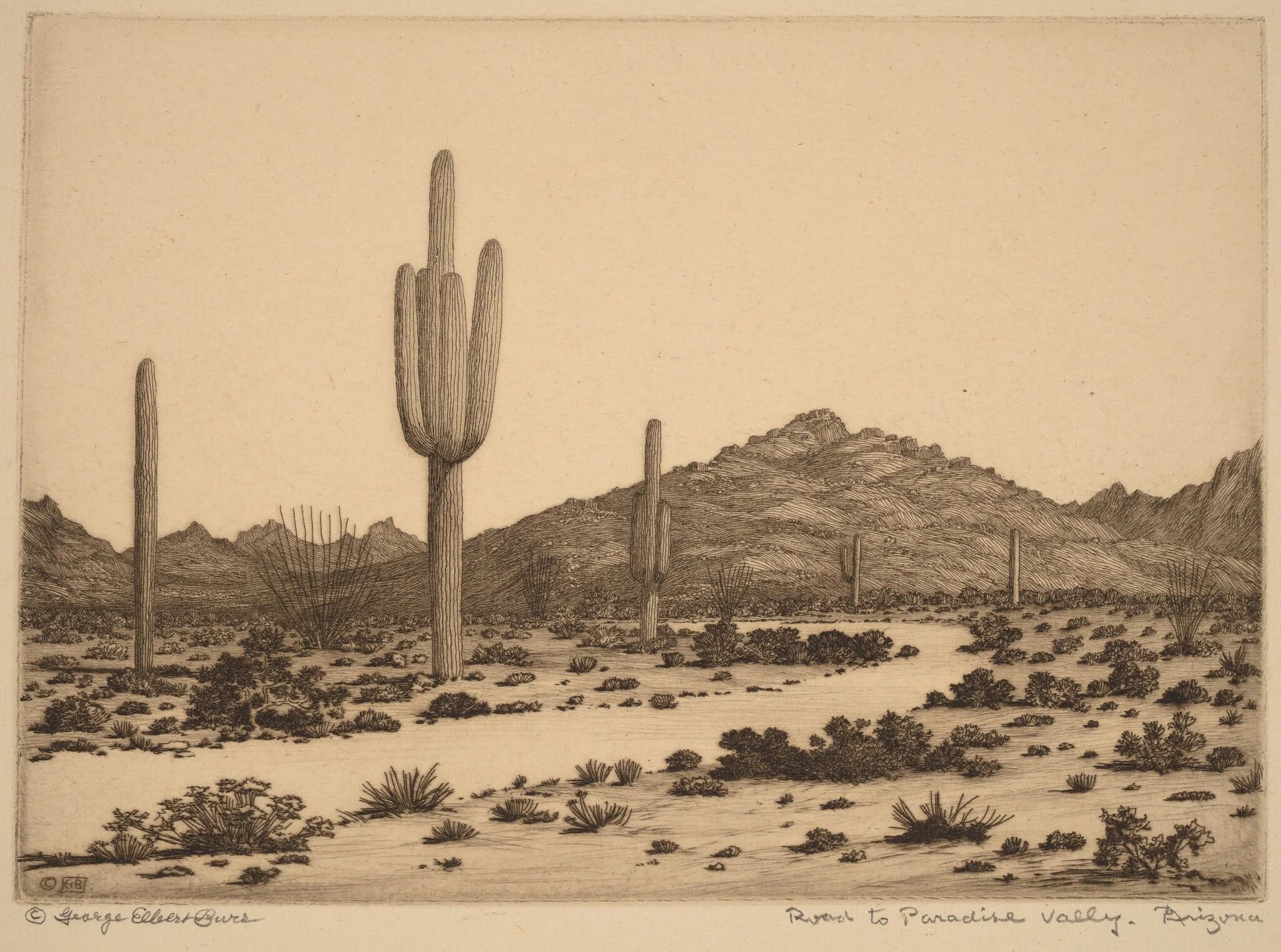 Road to Paradise Valley, Arizona, detail