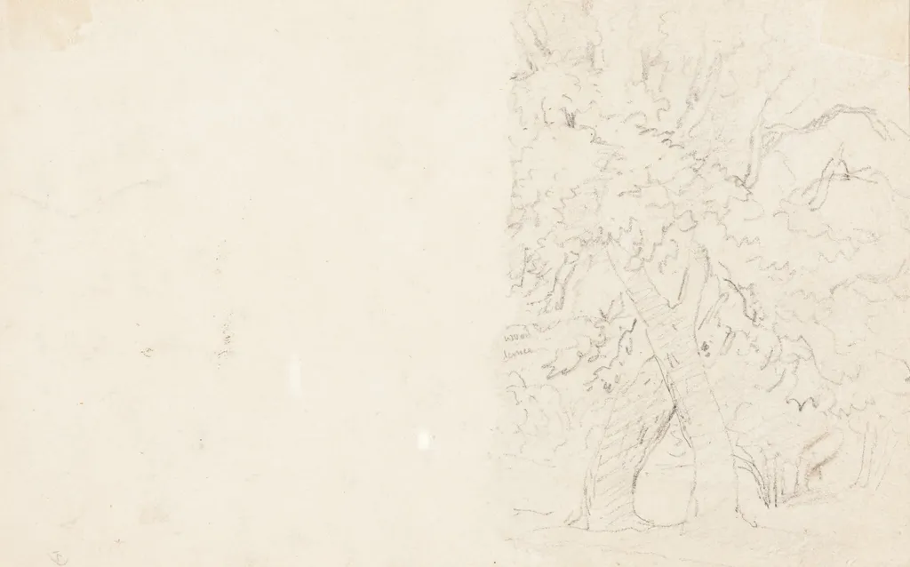 Trees [verso], by David Cox, graphite, 1831