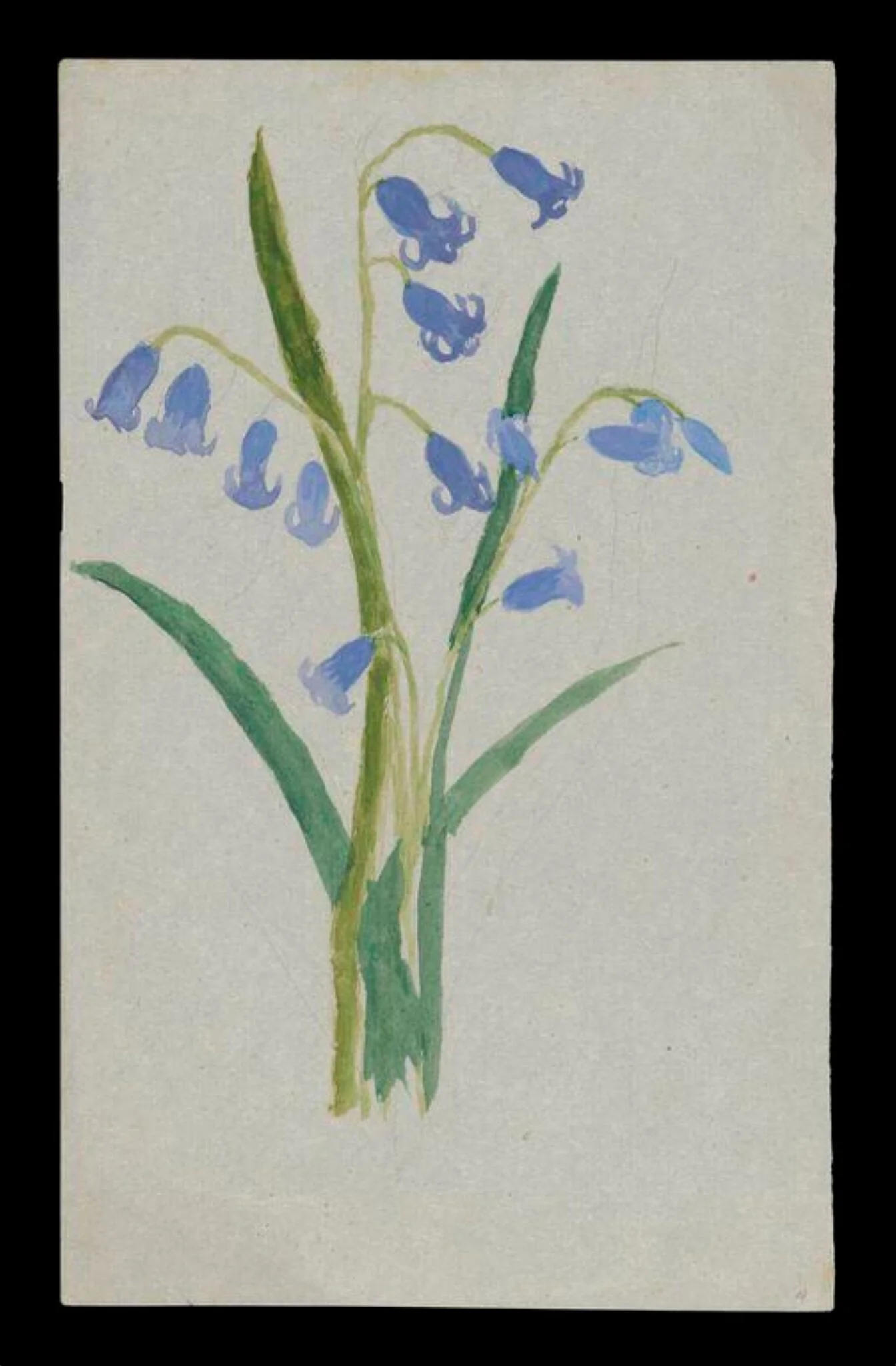 Untitled, detail