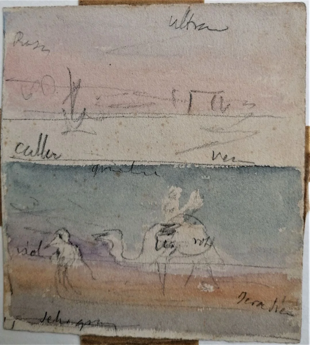 Cămilă în deșert, detail