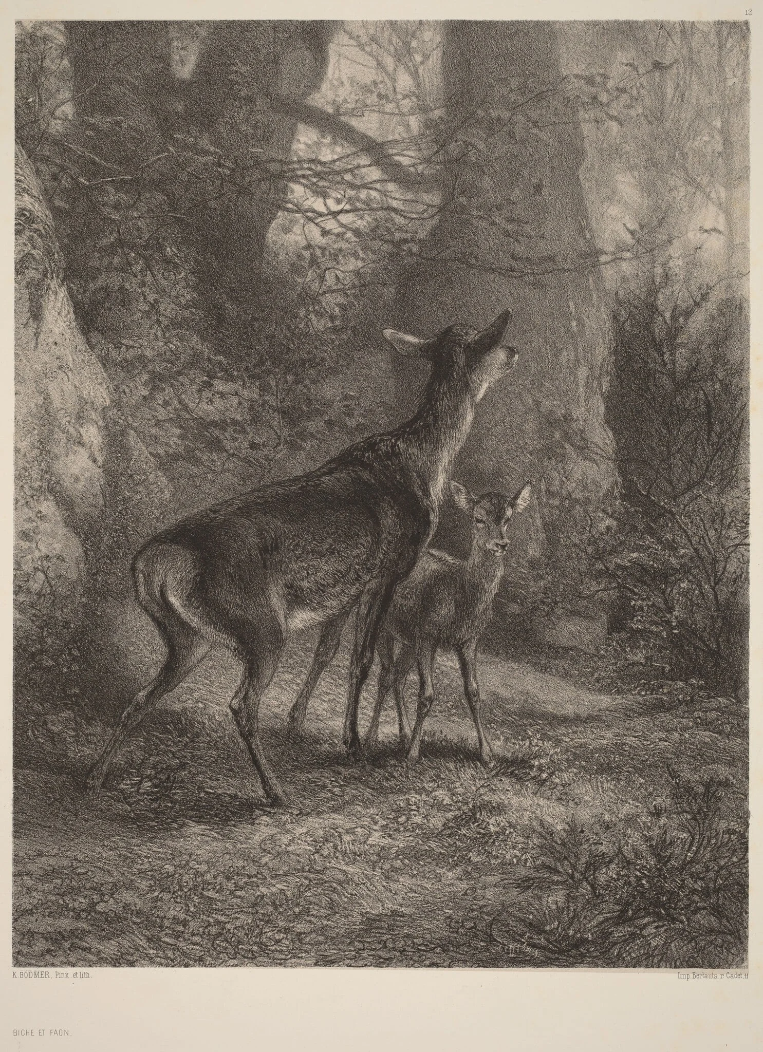 Biche et Faon, detail