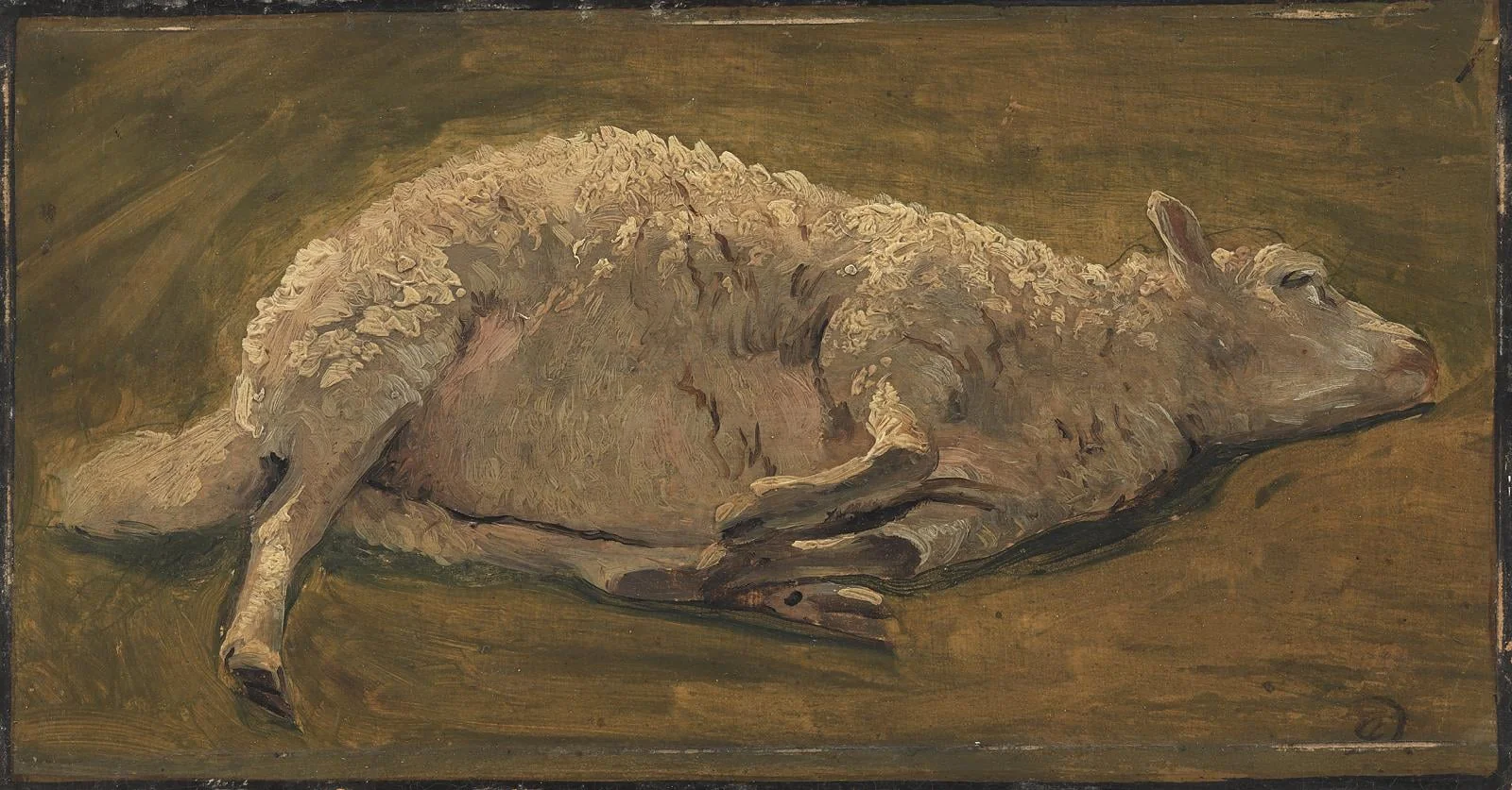 Studie af et liggende får, detail
