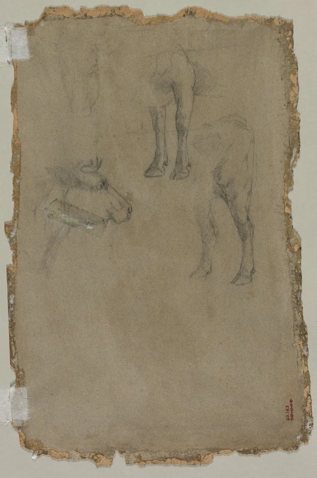 Studies of a Bull (verso), by Johan Jongkind, 1864