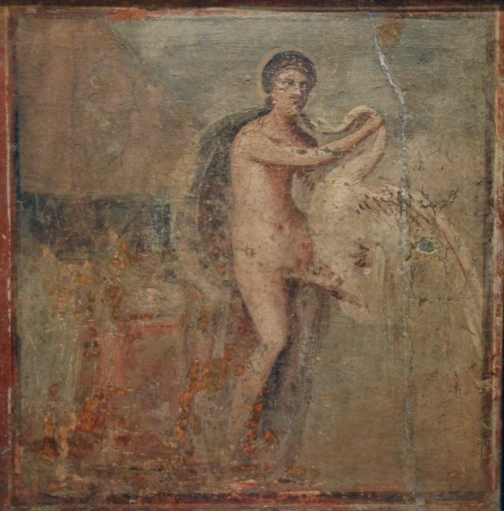 MAN Naples 27695, detail
