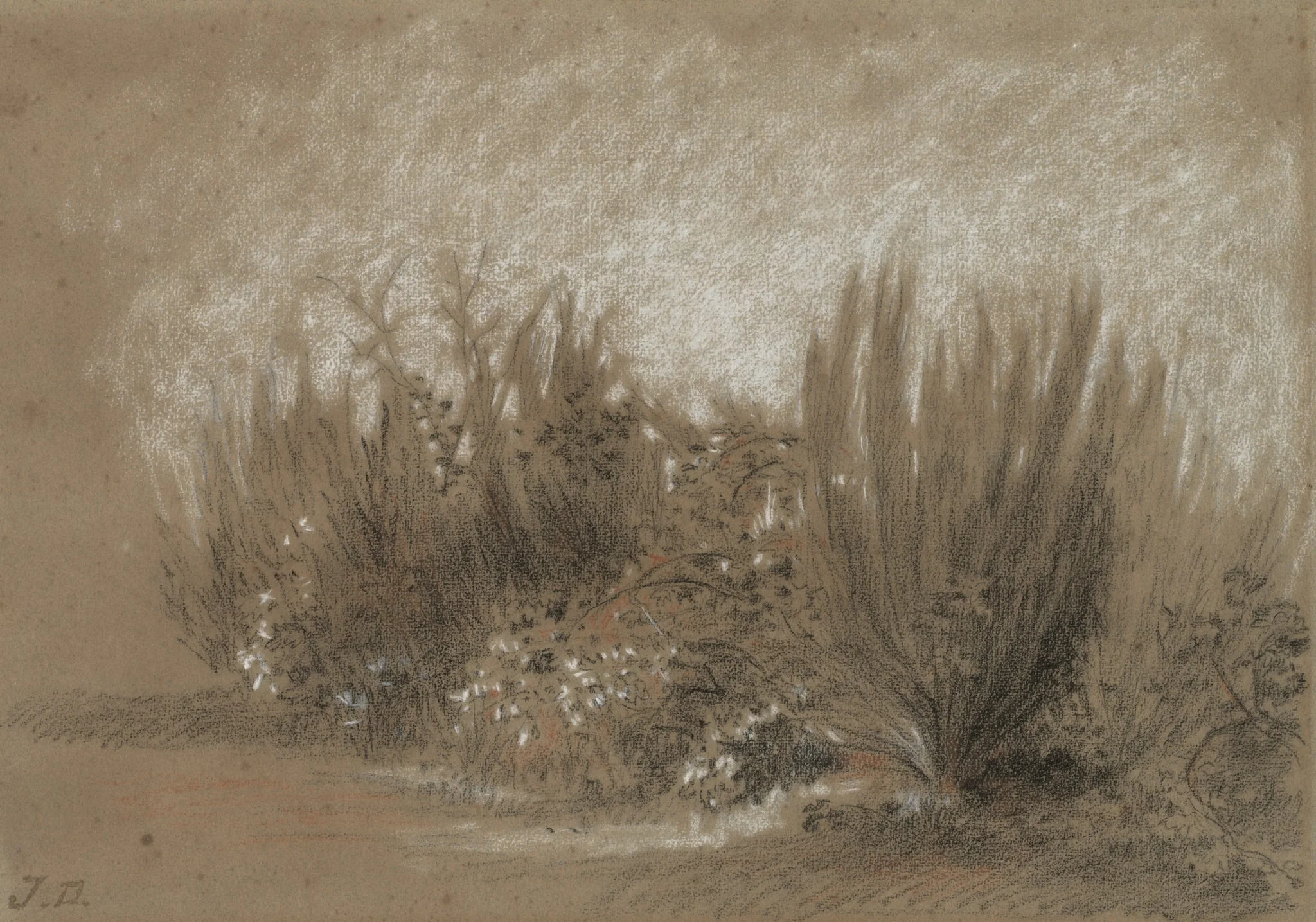 Genets et Ronces (Broom and Brambles), detail