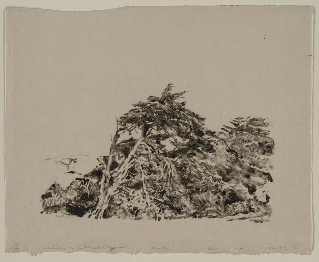Windbent Cypress, by Ernest Haskell, 1910