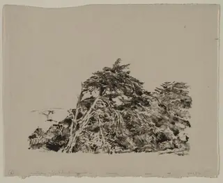 Windbent Cypress, by Ernest Haskell, 1910
