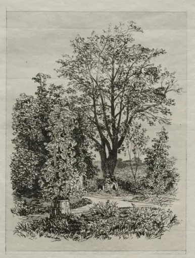 In my Bordeaux Garden, by Maxime Lalanne, 1872