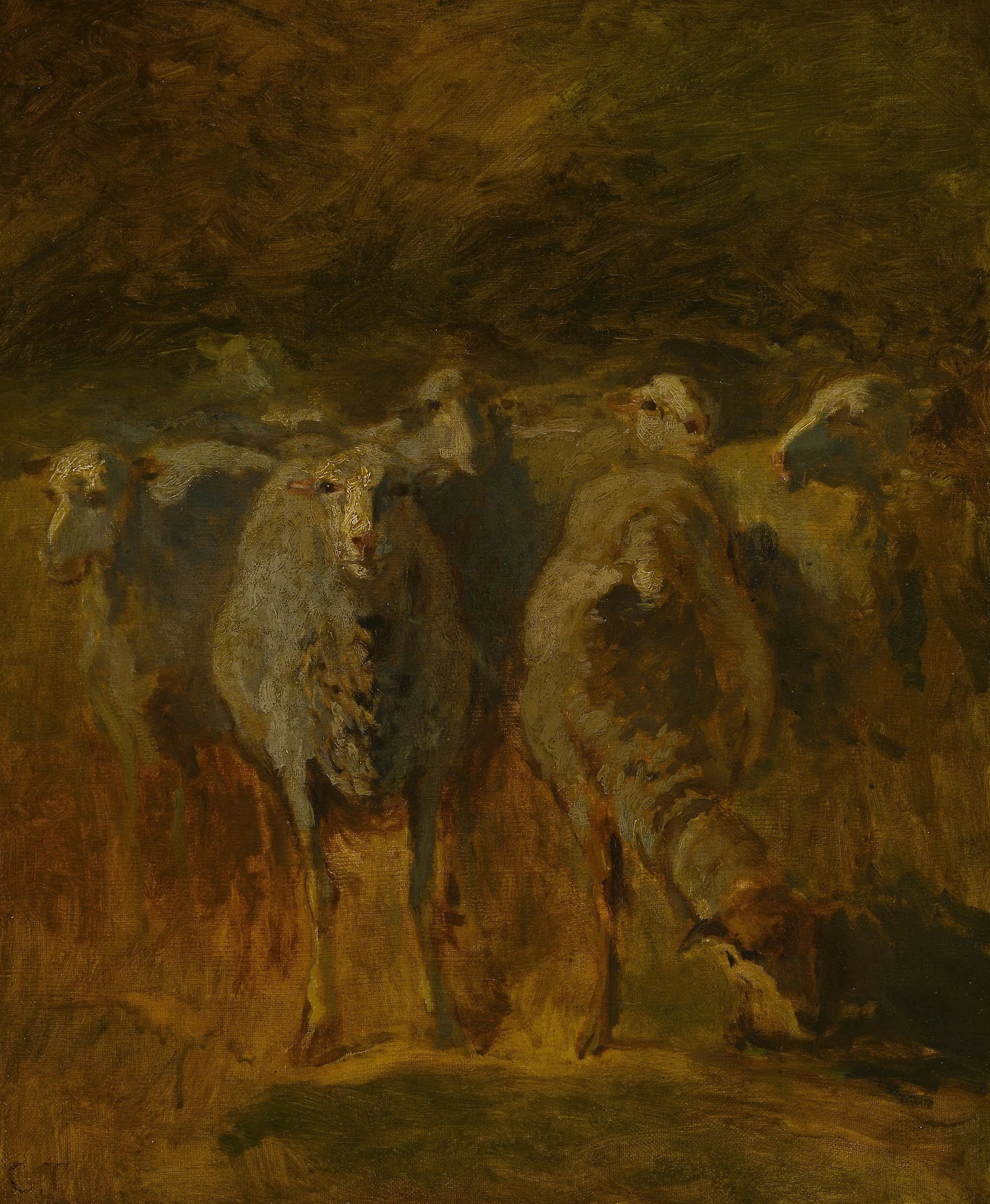 Unfinished Study of Sheep, detail