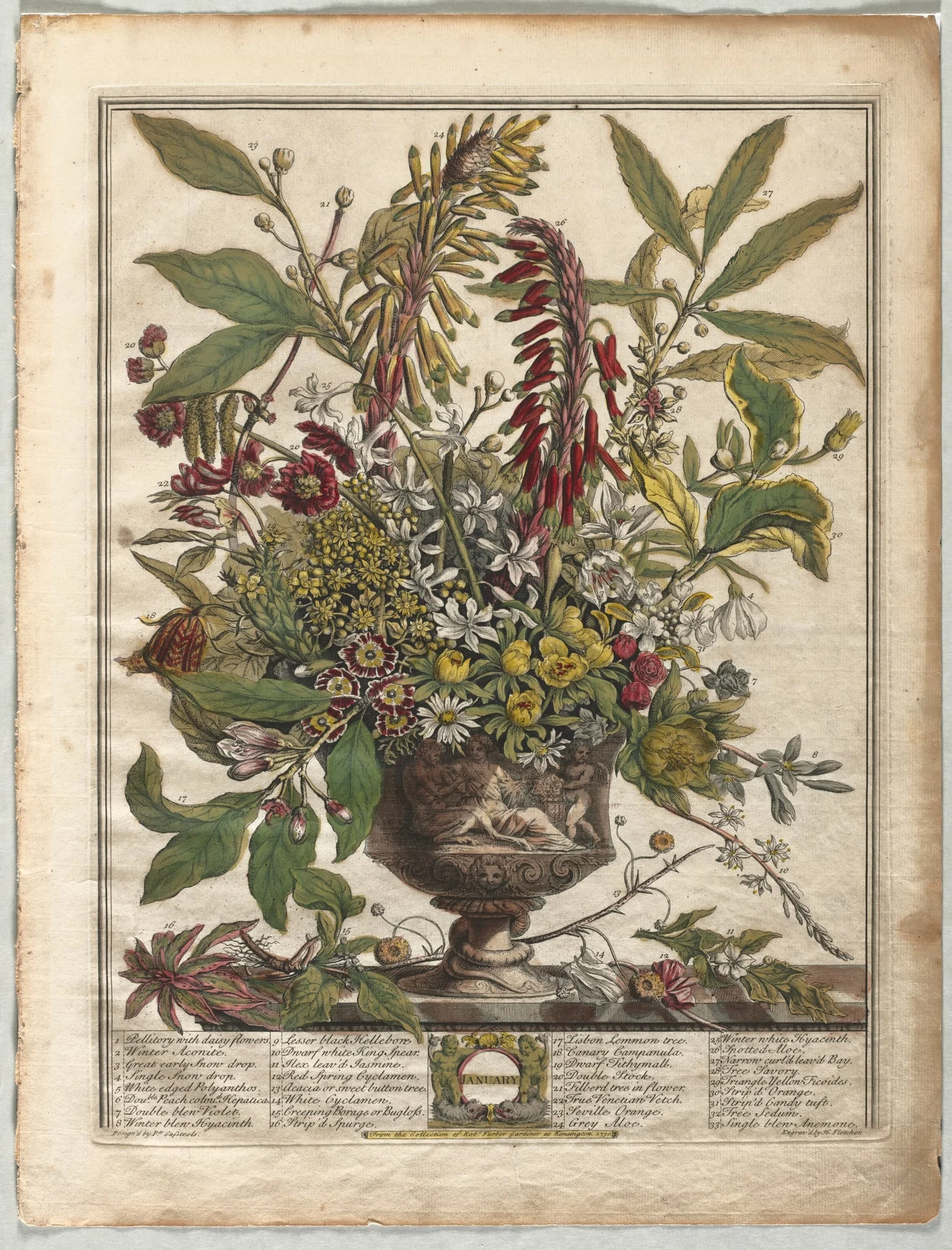 Twelve Months of Flowers: January, detail