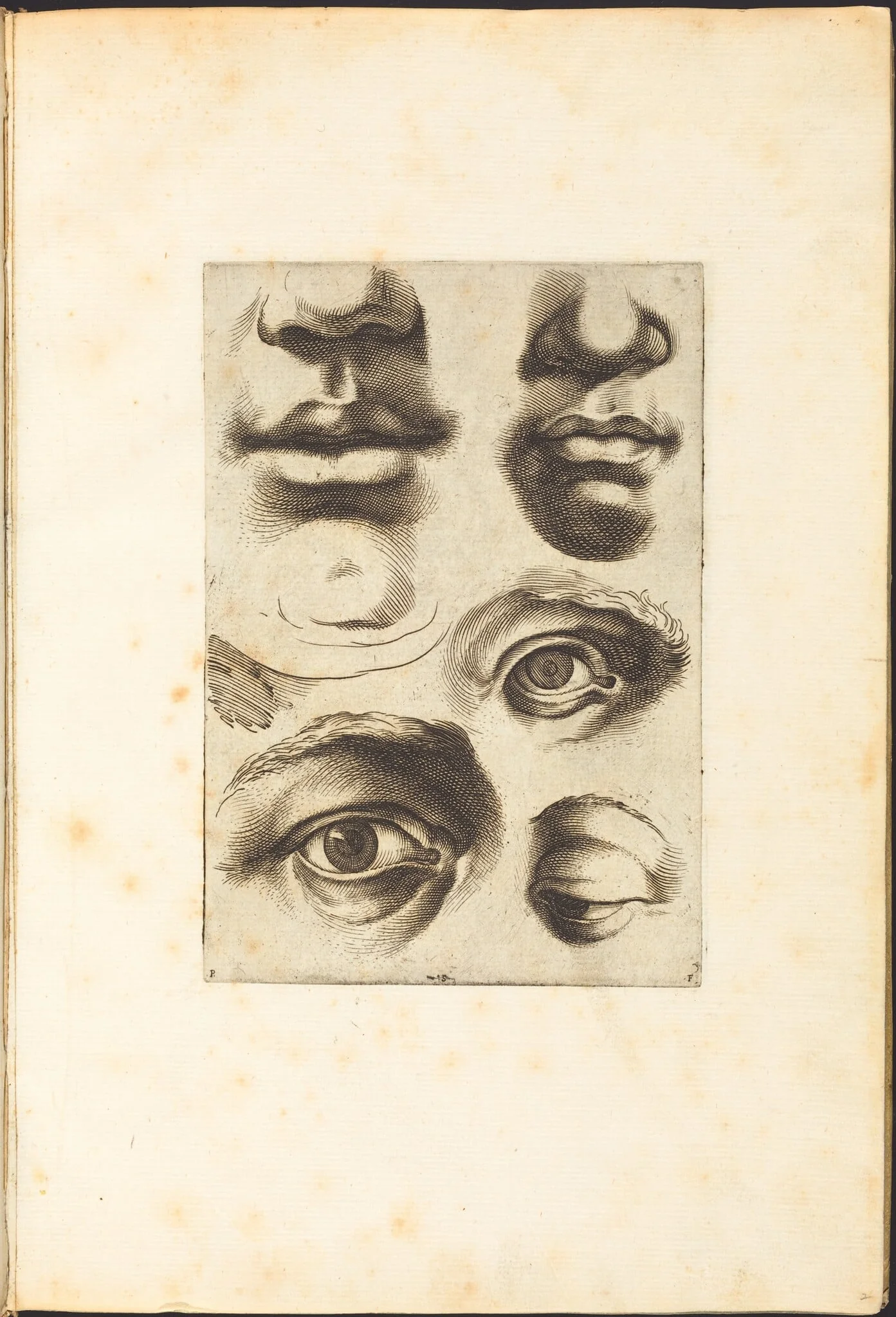 Print from Drawing Book, detail