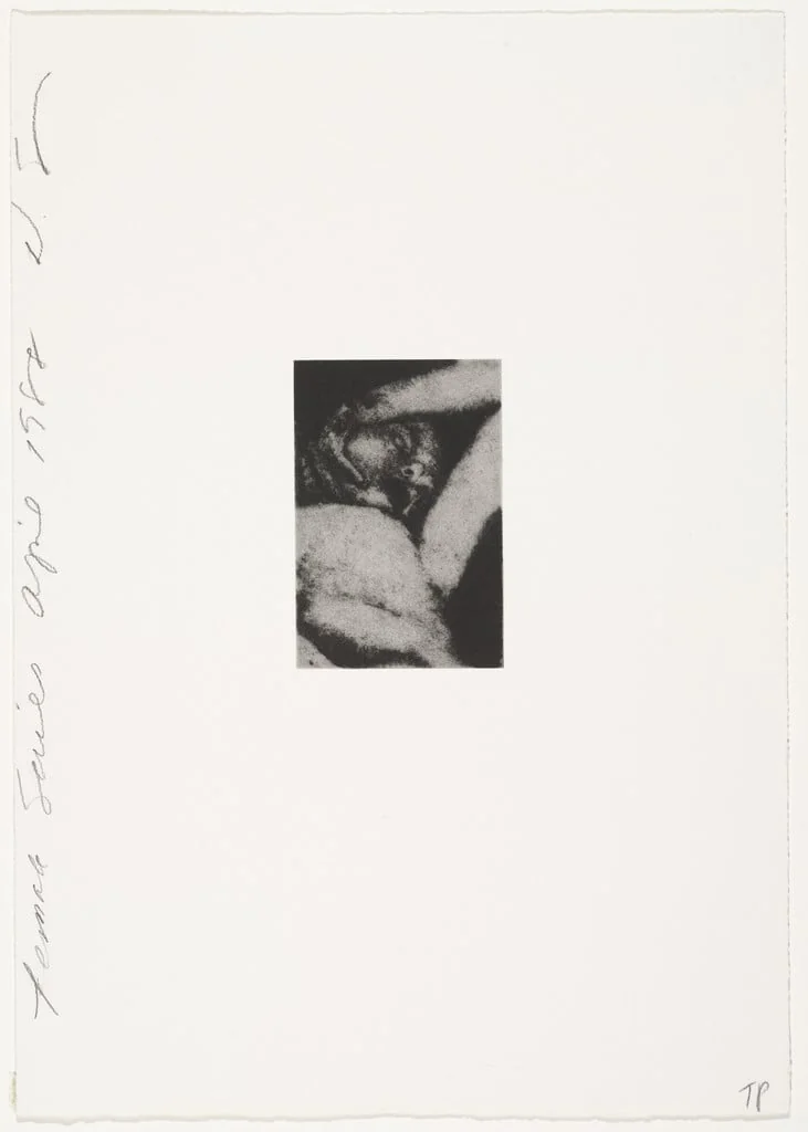 Untitled, detail