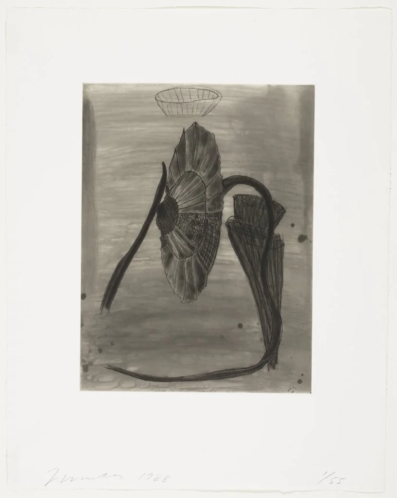 Untitled, detail