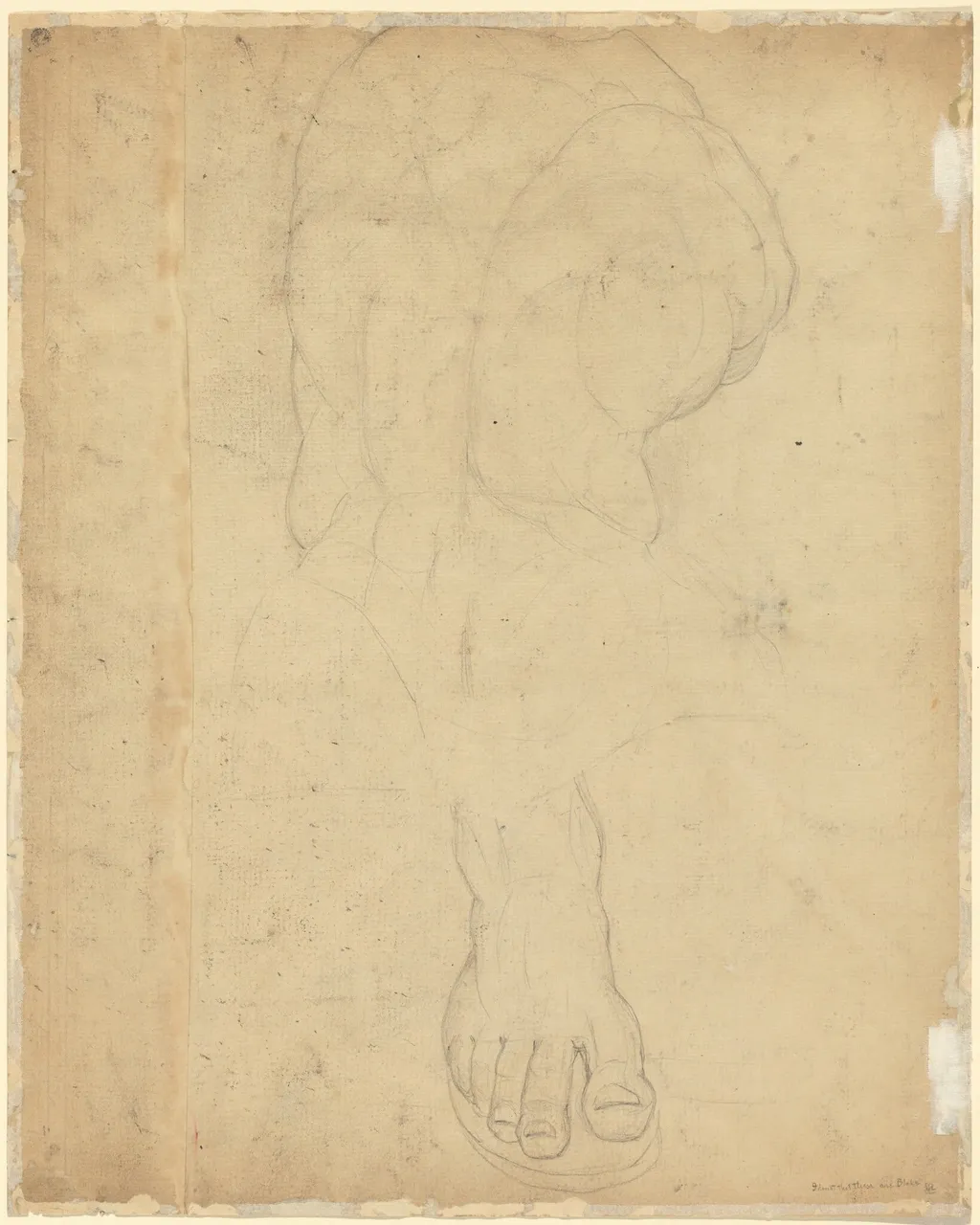 The Belvedere Torso [verso], by William Blake, graphite, 1780