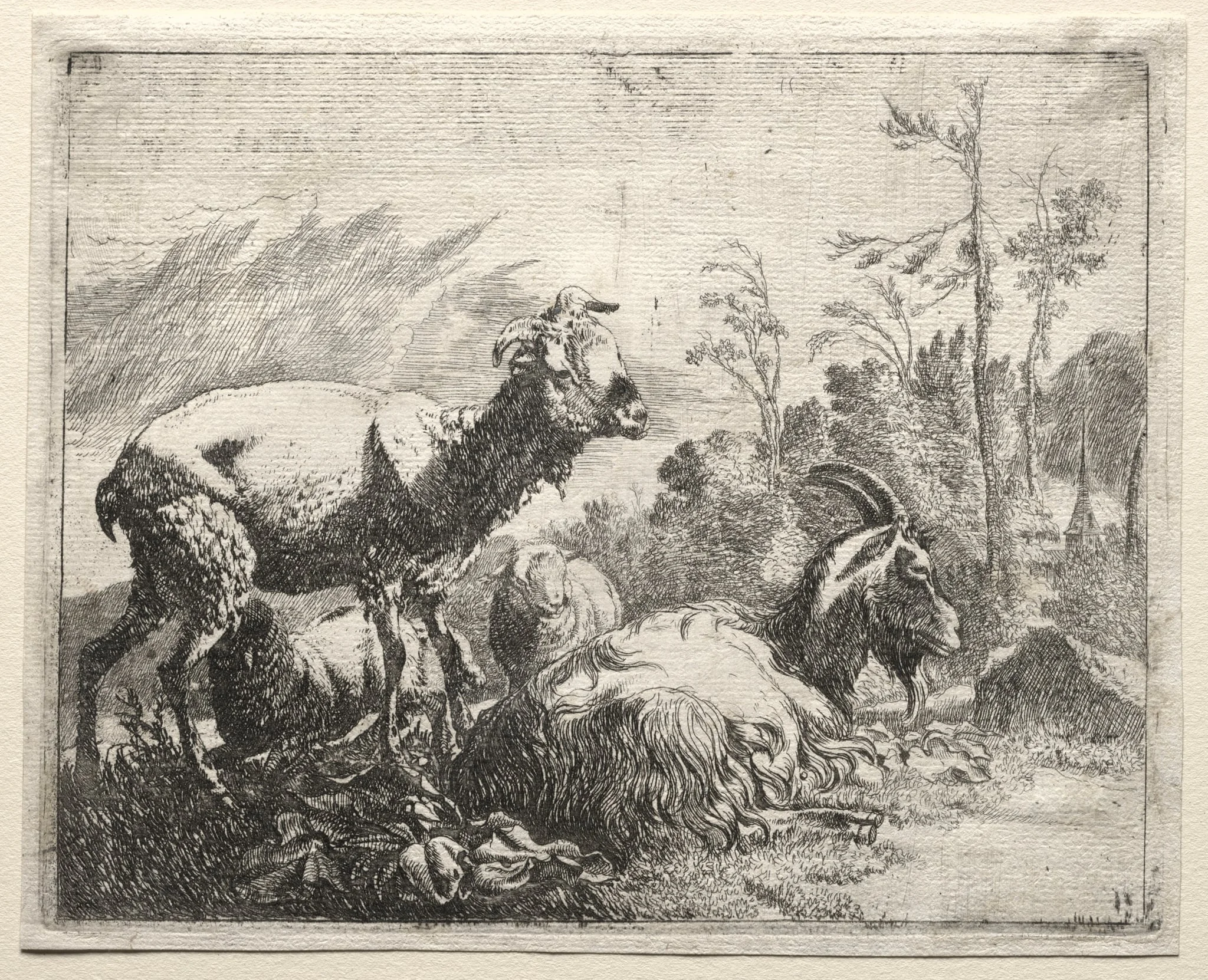 Goats, detail