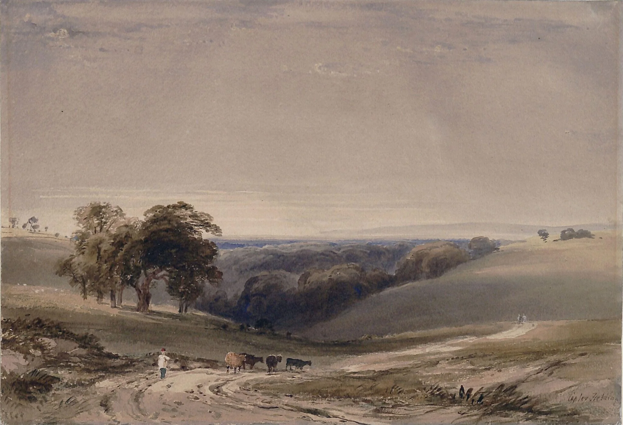 Ecclesbourne Glen, detail