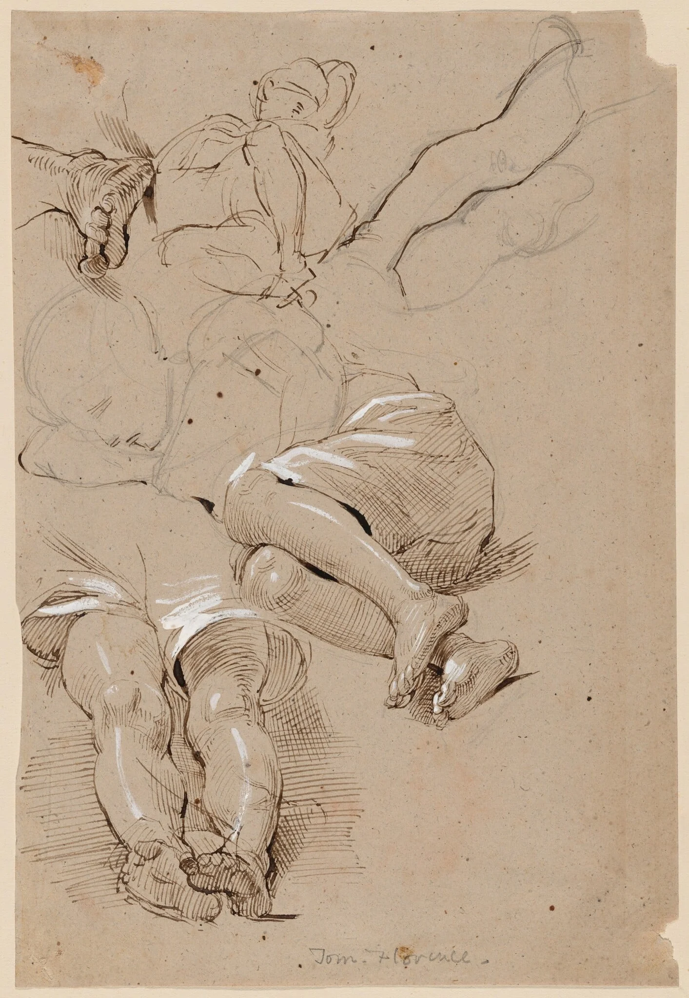 Tom -- Florence, detail