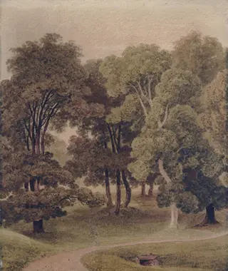 Group of trees at Dingwall, Ross-shire, by George Fennel Robson, watercolor, 1805