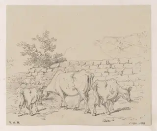 Cattle by a wall, by George Chinnery, 14