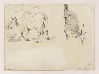 An Indian cow, and a goat, by George Chinnery, 20