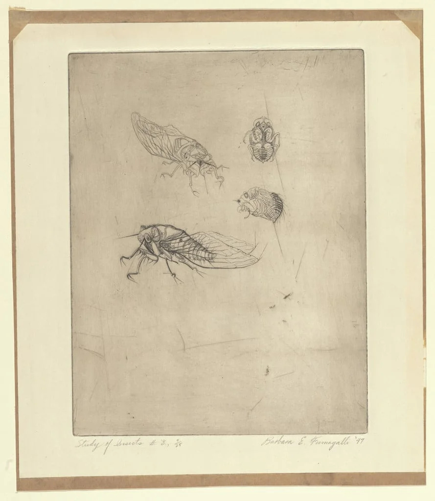 Untitled, detail