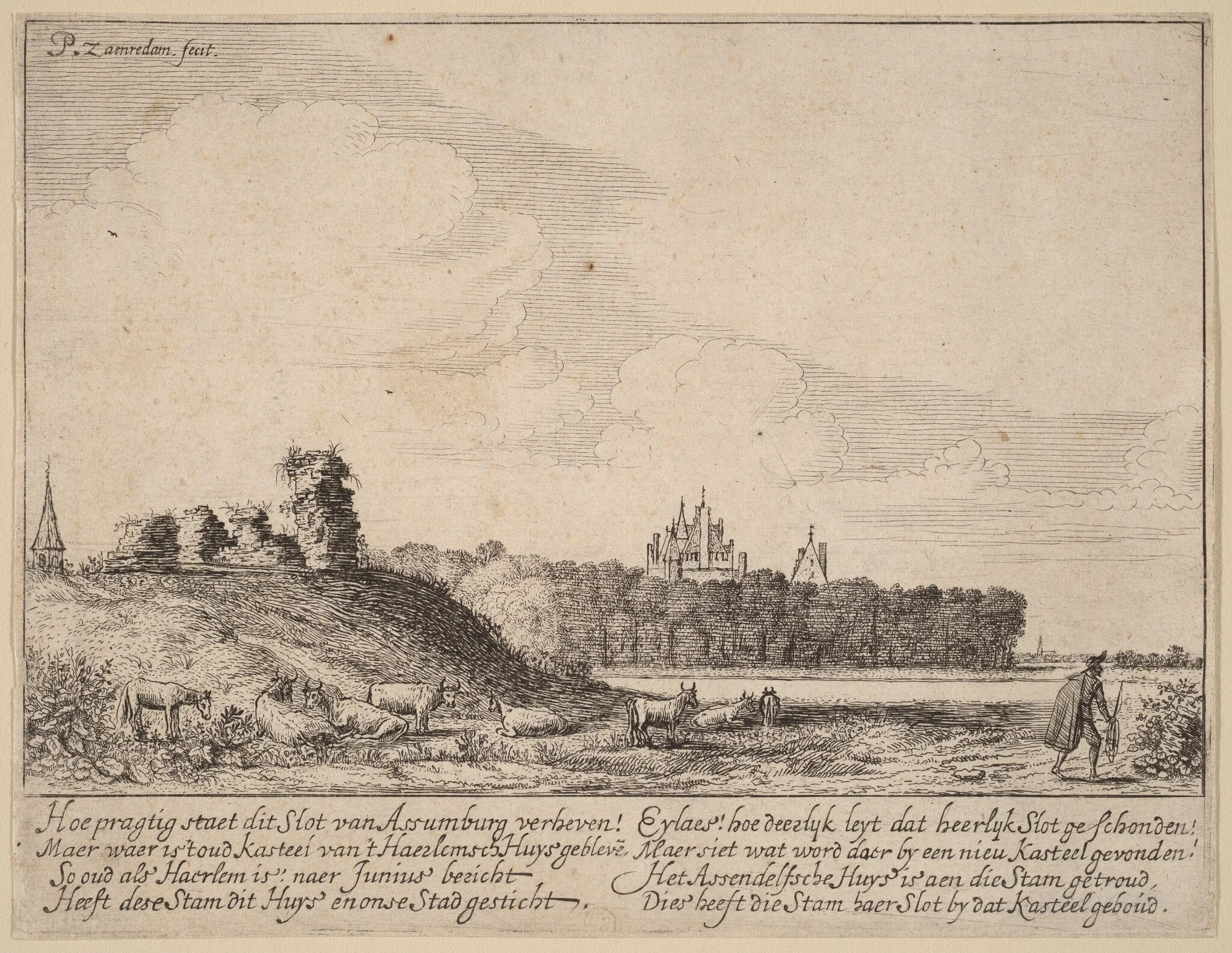 Ruins of Assemburg Castle, detail