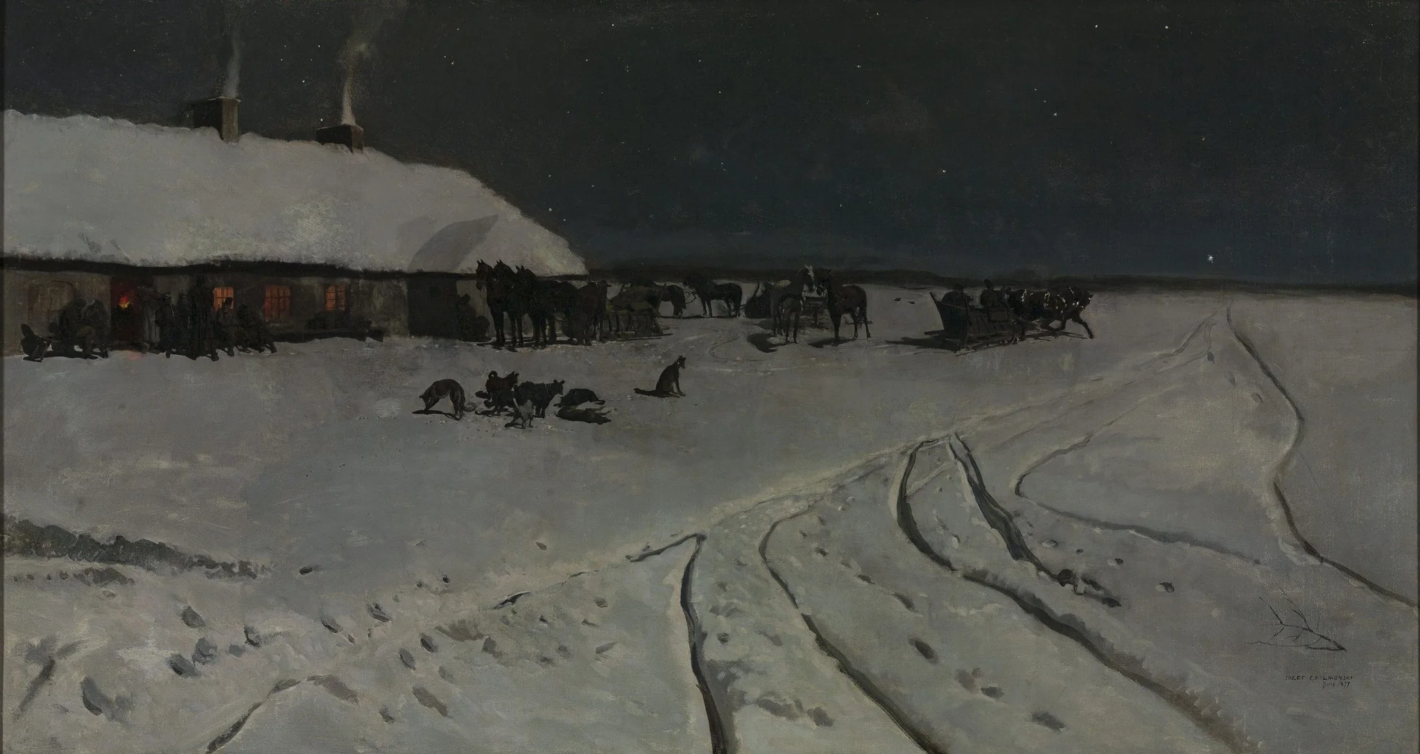 Winter night in Ukraine, detail