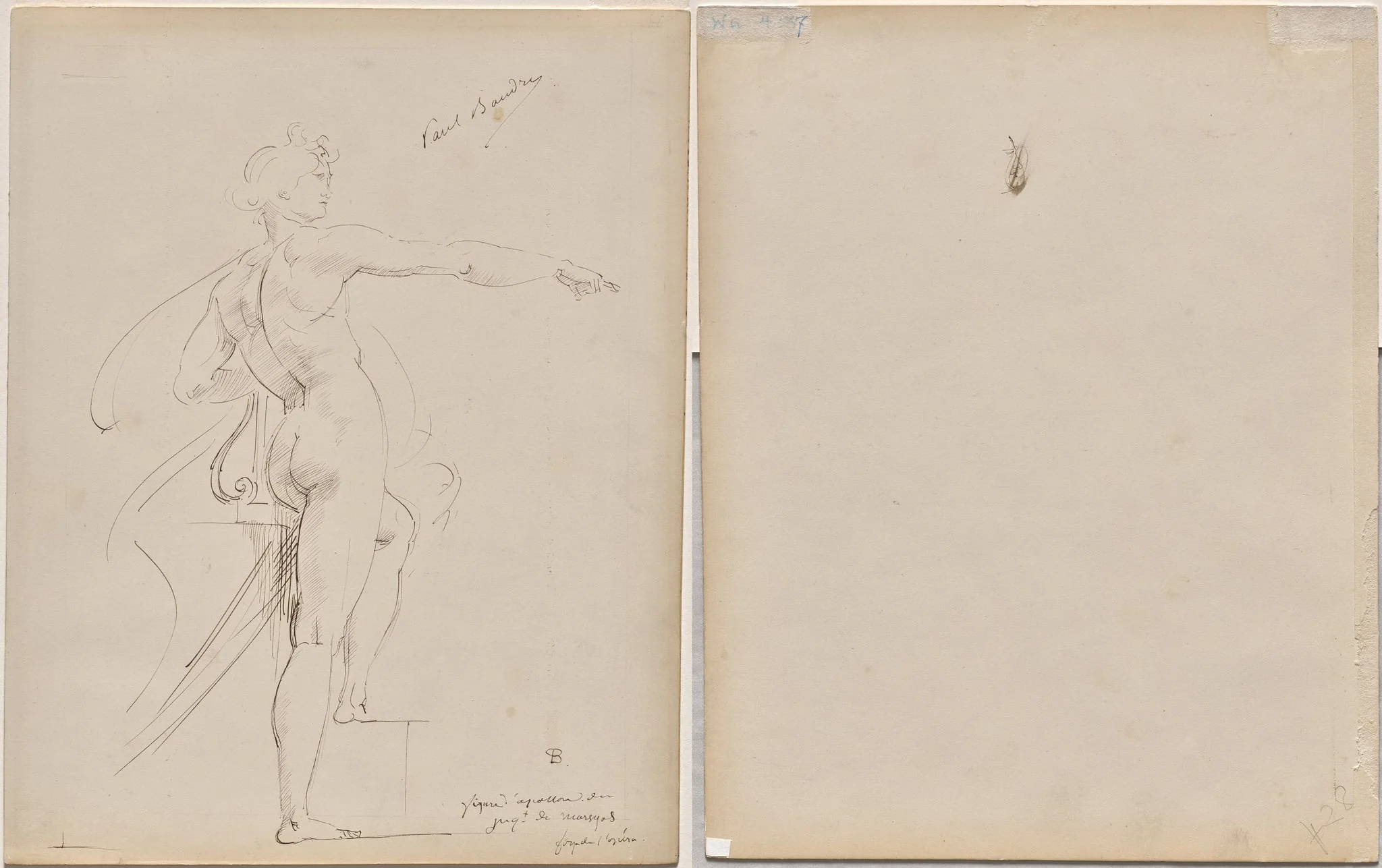 Study of Apollo for Marsyas (recto); Face in Profile (verso), detail