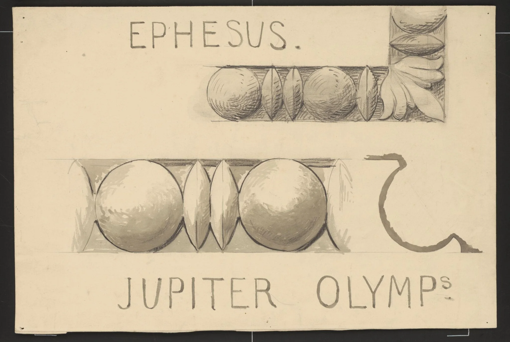 Drawing of moulding on the Temple of Jupiter Olympius at Ephesus, detail