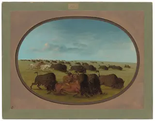 Buffalo Chase, with Accidents, by George Catlin, oil, 1865