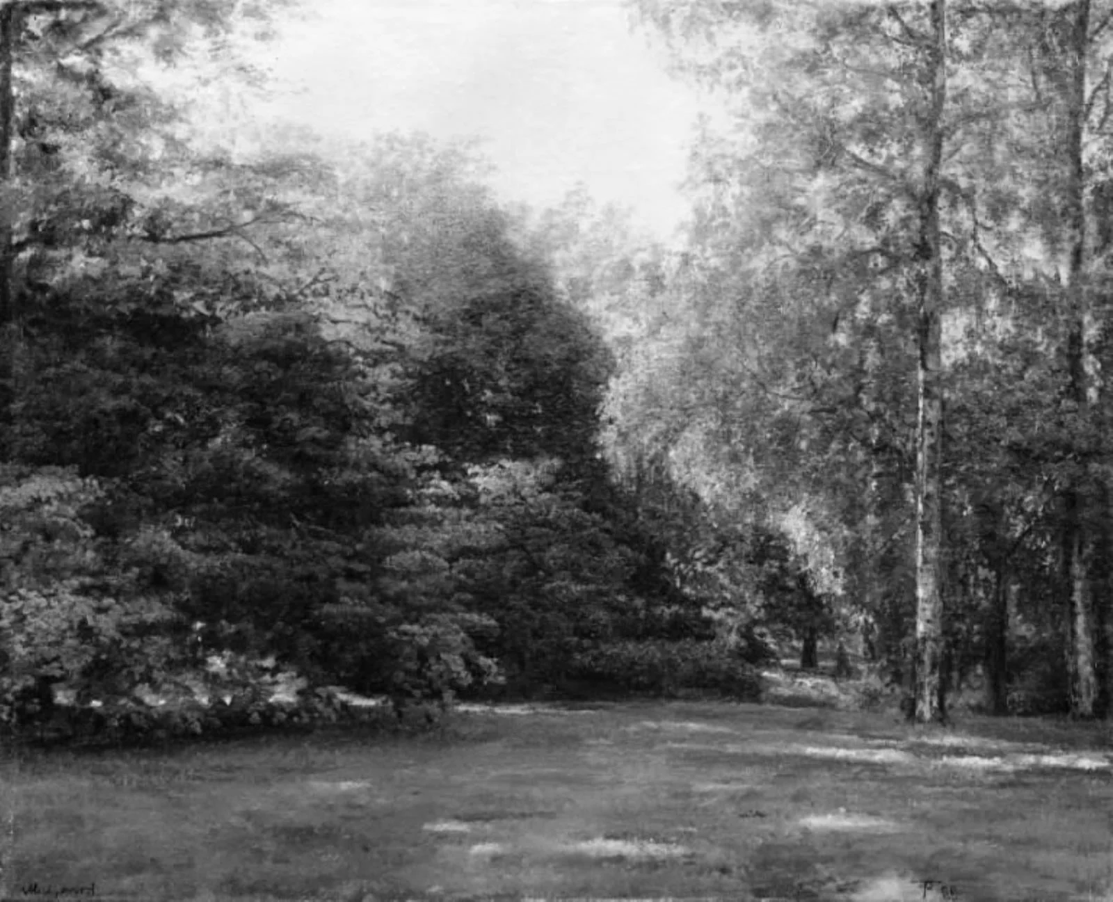 Park with Tall Trees, detail
