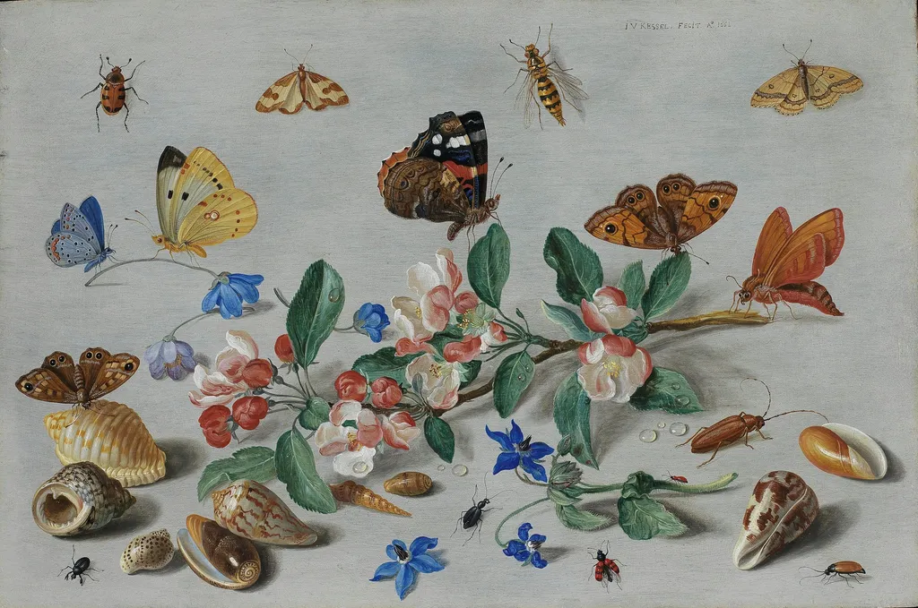 Butterflies and other insects, by Jan van Kessel the Elder, oil, 1661