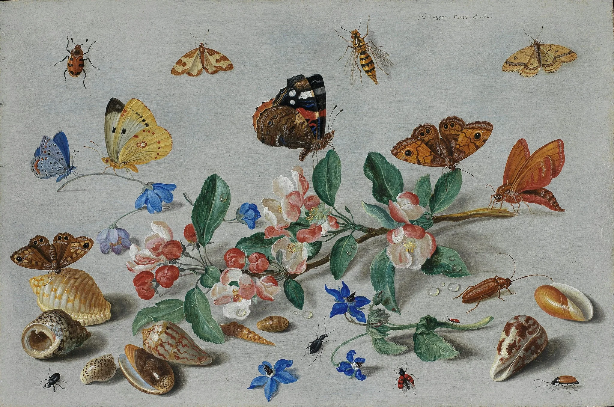 Butterflies and other insects, detail