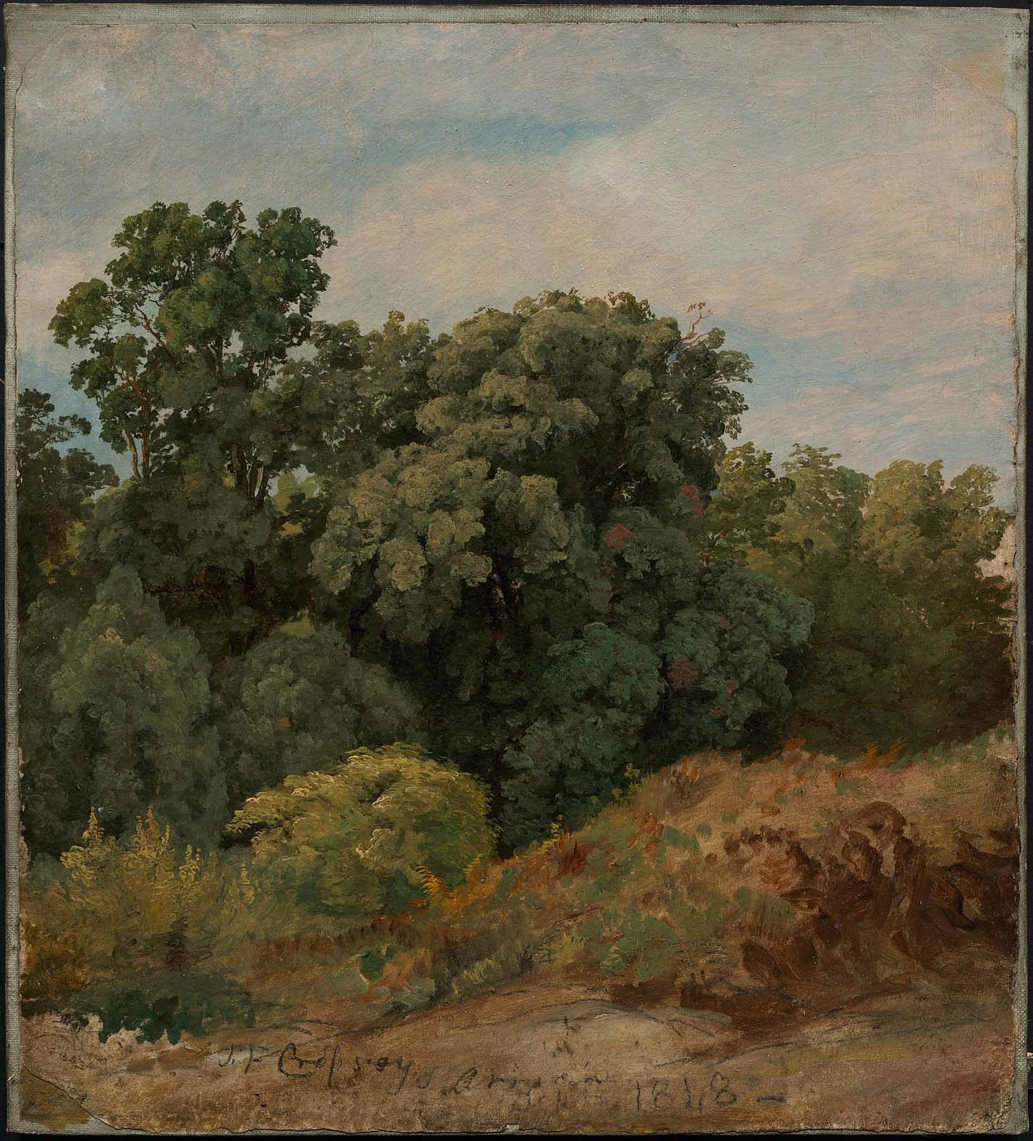 Study of a Clump of Trees, detail