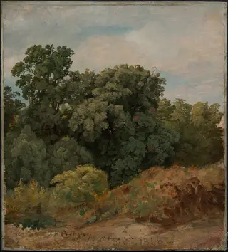 Study of a Clump of Trees, by Jasper Francis Cropsey, unspecified, 1848