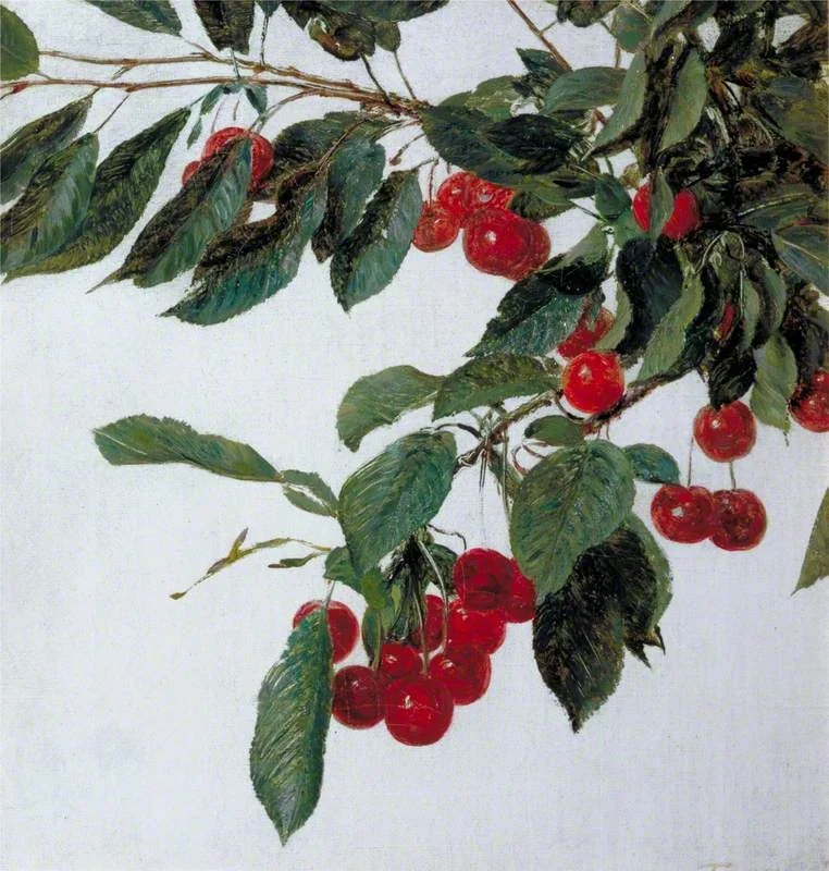 Cherries, detail